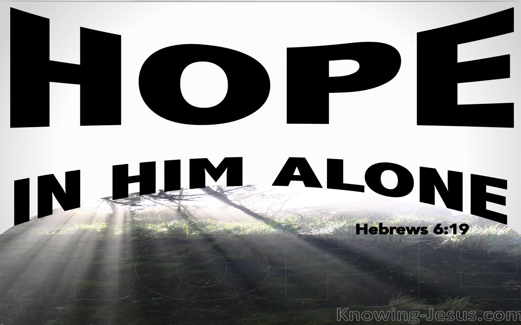 Hebrews 6:19 Hope In Him Alone (black)